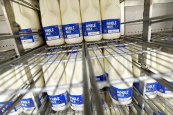 Bloomberg_Milk
