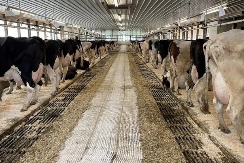 Michigan to Pay Farmers for H5N1 Research Assistance