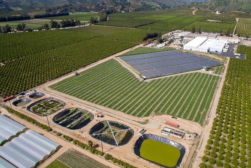 Limoneira solar installations