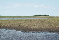 Waterway WOTUS