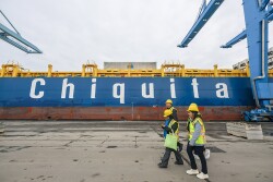 Chiquita