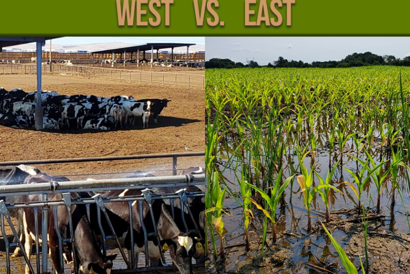 Mother Nature’s extreme weather continues to play out throughout the U.S. 