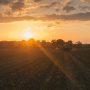 A sun over a field with farm machinery