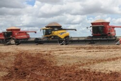 Brazil soybean harvest