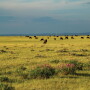 Hall Ranch