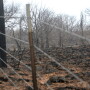 wildfire fence