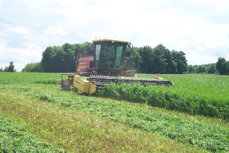 Hay_mowing