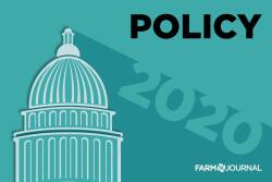 2020 is full of unknowns when it comes to the markets, but both market analysts and Washington watchers agree on one thing: the political environment will impact the markets in 2020. 