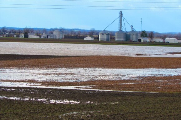 Heins_Farm_Flooding.jpg