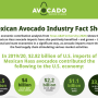 avo fact sheet