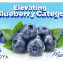 Sekoya blueberry platform Mastronardi