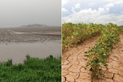 The farming industry is battling the effects of climate change, including unpredictable weather and increased drought and flooding.