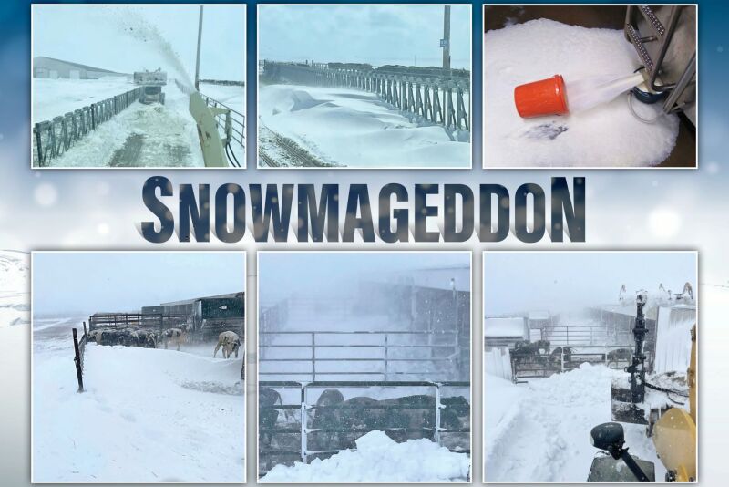 Snowmageddon