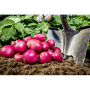 A20A9183-ADCA-440B-80B74433AC557D2F.png