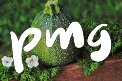 PMG_top20_118-header.png