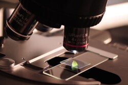 Microscope