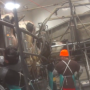 Video Courtesy: Animal Recovery Mission