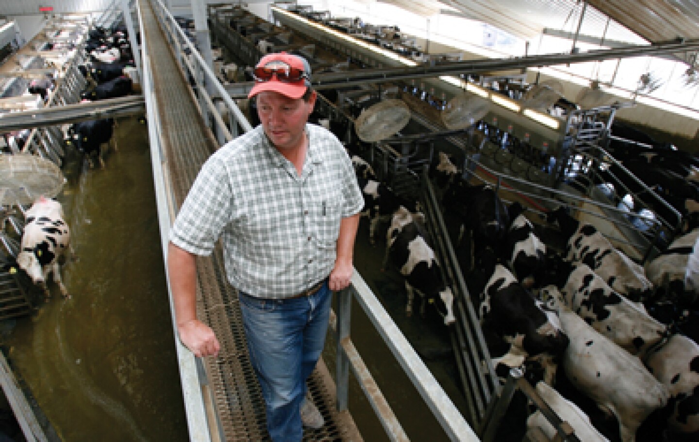 y-Farmers-fk1003.jpg