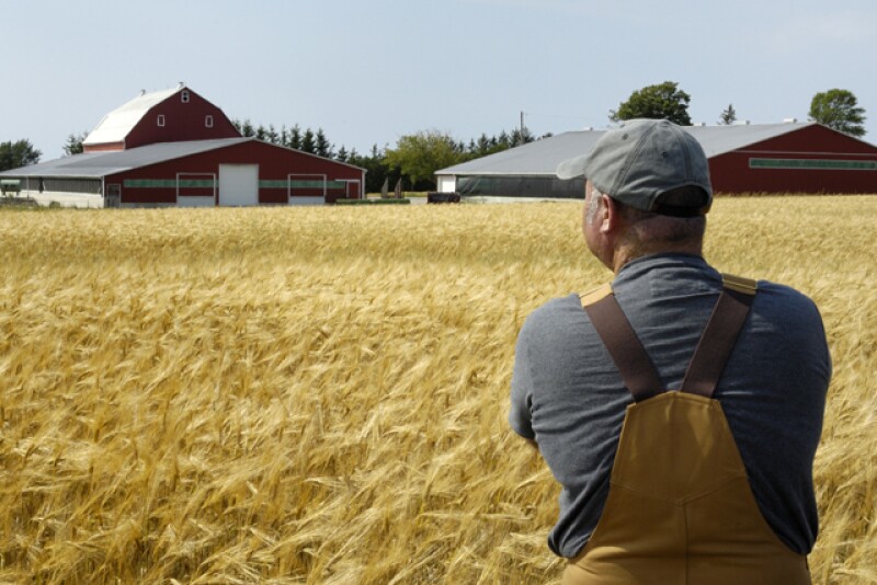 farmer