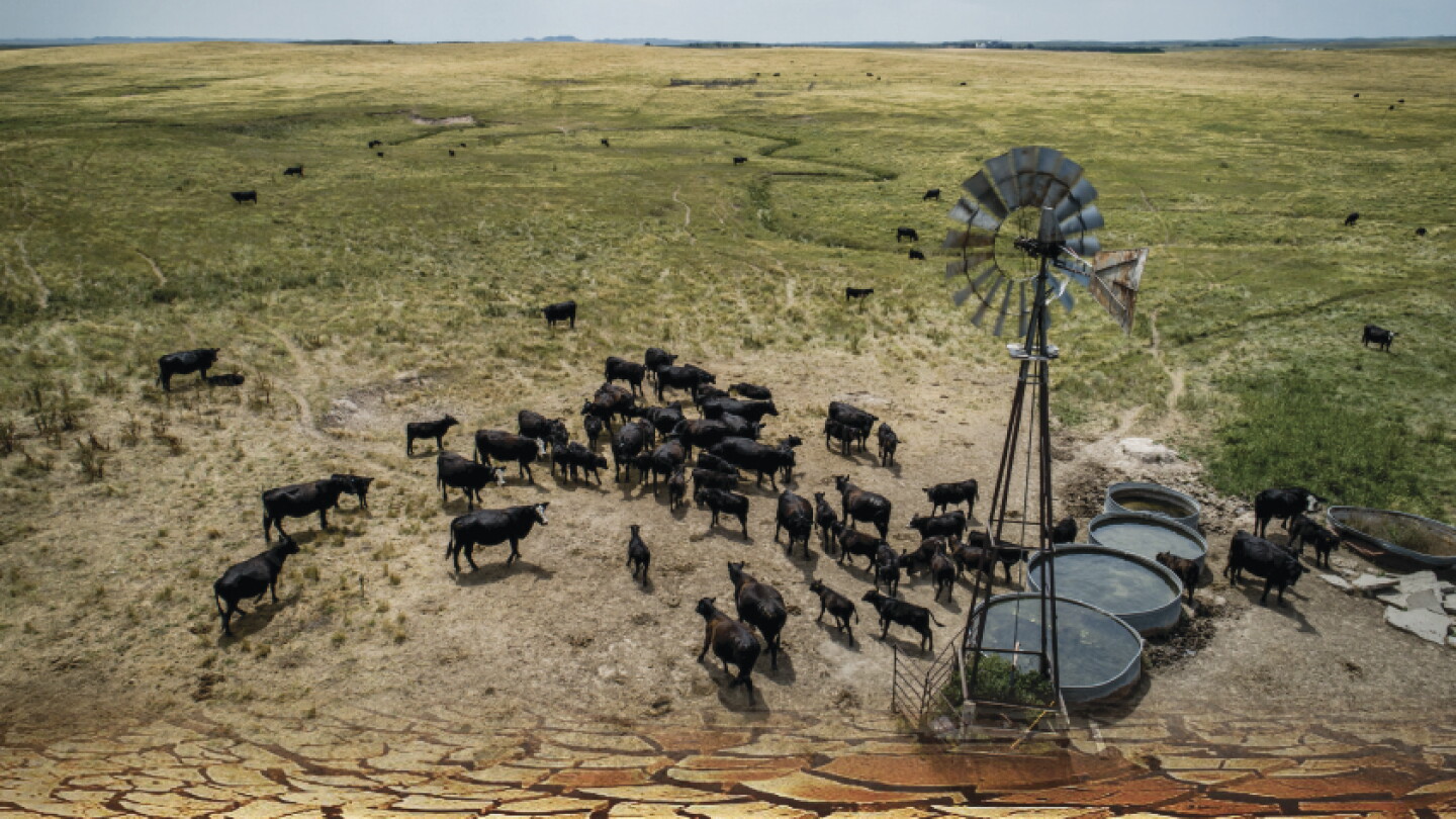 Drought worsens for the Northern Plains and Upper Midwest - Pro Farmer
