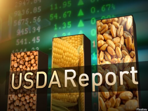 The next mark-moving round of USDA reports will be here on Tuesday, June 30. USDA will release its annual Acreage and quarterly Grain Stocks reports on Tuesday, June 30 at 11 a.m. CDT.