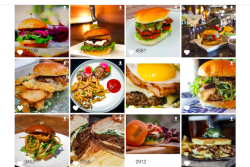  Blended Burger Project