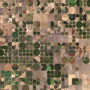 Dumas TX