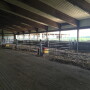 A well-planned calving pen gives producers the opportunity to provide the best treatment for both the cow and the calf. 