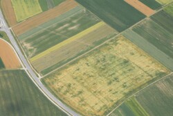 Farmland aerial