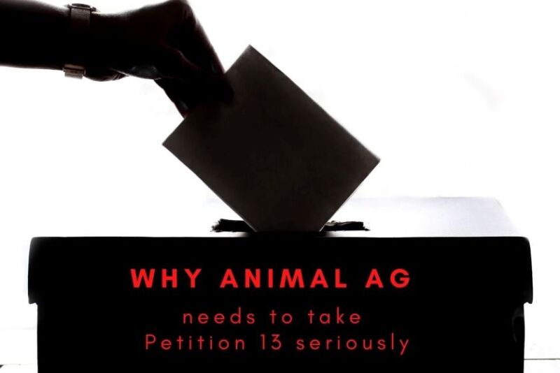 Petition 13