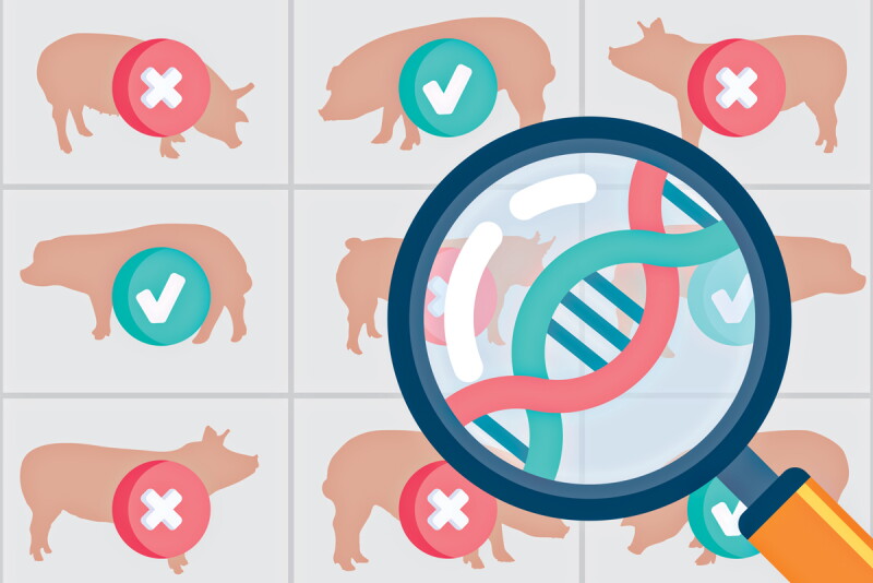 Genetic Selection