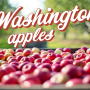 Washington apples