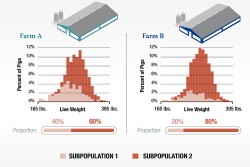 Subpopulations