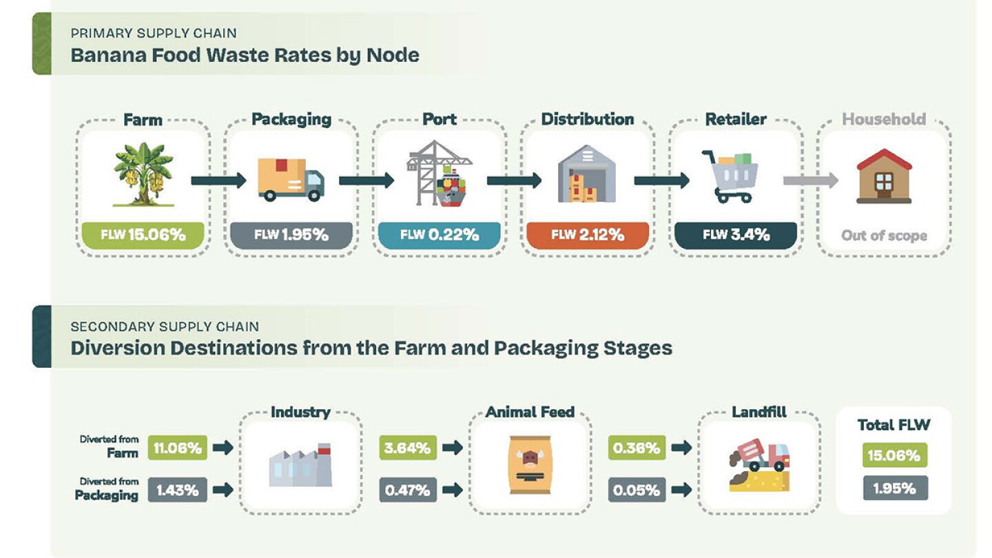 Garbage Journal Rethinking the Banana Supply Chain from Farm to Shelf - The Packer