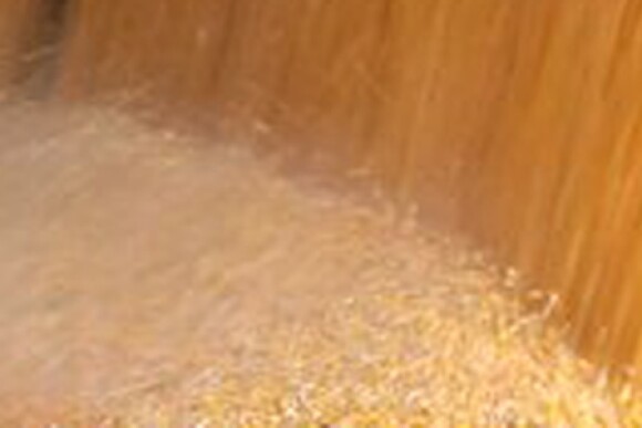  Farm Exports Boost Rural Mainstreet Economy