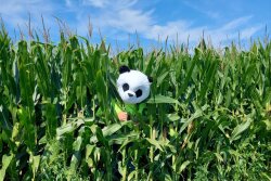 We've compiled a few tweets from #PFTour22 that showcase how scouts kept things "interesting" as they made their way north.