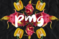 PMG_top20_215_header.png