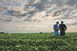 A new website has been developed to evaluate potential ag tech innovations.