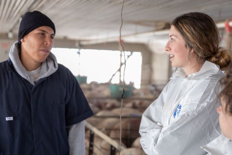 Alexis Main 2021 College Aggies Online participant in a commercial pig barn