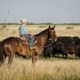 Ranch-Photo-TBC.jpg