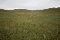 While parts of the Midwest catch some much needed rains, other areas face dry conditions this growing season. Here's a look at the seasonal drought outlook and what it means for pasture and range conditions.