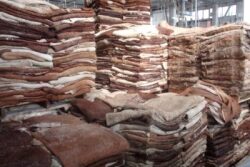 Global demand for cattle hides is declining.