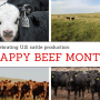Happy Beef Month - May 2023