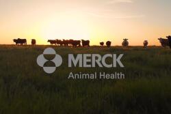Merck Animal Health
