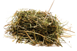 Young animals often benefit from stemmy, lower quality forages. WIth regard to nutrition, this may seem counterintuitive but research indicates that's the case.