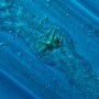 Solve yield loss due to widespread nematode pressure 