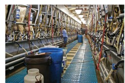 Dairy farmers claim Dannon’s initiative to phase out GMO ingredients will result in less farm sustainability and cause more harm to the environment.