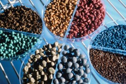 Bayer, a leader in seed treatment technology, is pursuing an acquisition of seed market leader, Monsanto.