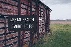 Mental health