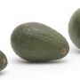 avocado-banner.jpg